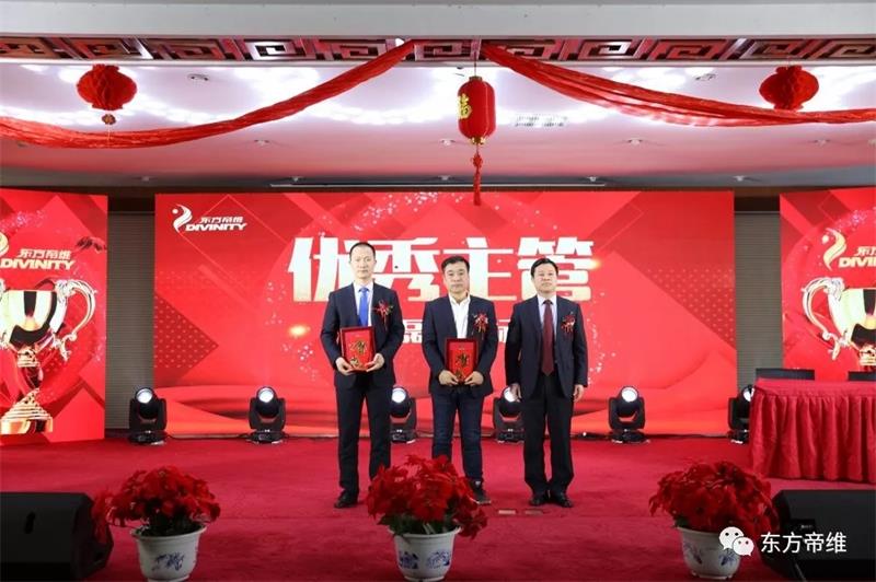 十年风雨铸辉煌 不忘初心创未来 东方帝维喜迎新春