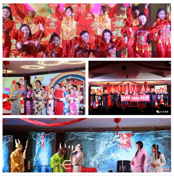 十年风雨铸辉煌 不忘初心创未来 东方帝维喜迎新春