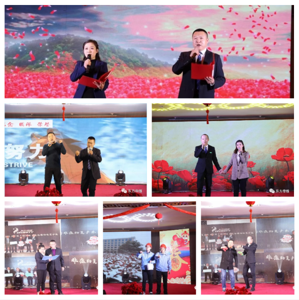 十年风雨铸辉煌 不忘初心创未来 东方帝维喜迎新春