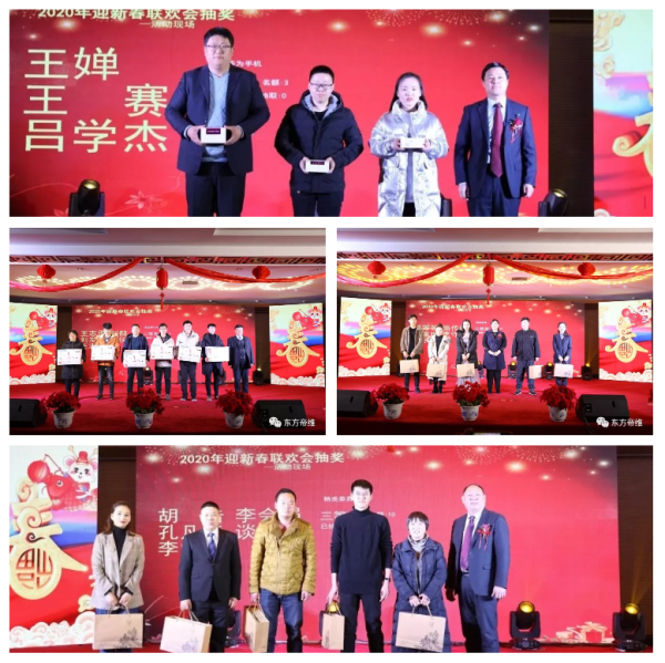 十年风雨铸辉煌 不忘初心创未来 东方帝维喜迎新春